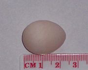 A cockatiel egg with centimetre scale