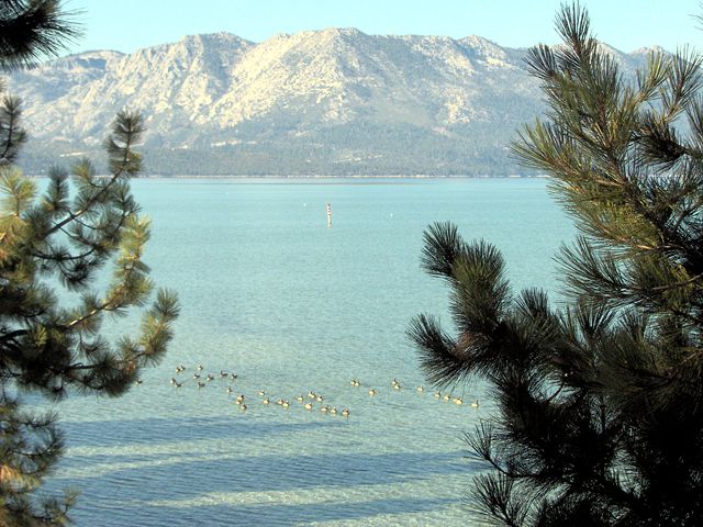Image:Lake Tahoe, Lake Tahoe Boulevard, South Lake Tahoe, CA.jpg