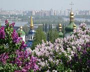 Lilacs in the Central Botanical Garden, with Vydubychi Monastery and the Left Bank of Kiev in the background. Photo copyright R. Lezhoev.