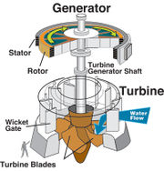 Hydraulic turbine and electrical generator.