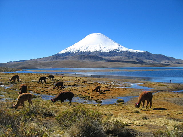 Image:Parinacota volcano.jpg