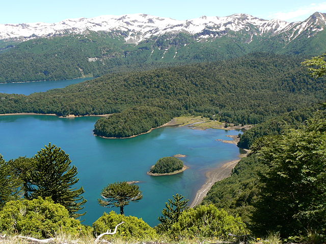 Image:Looking out over Lago Conguillio.jpg