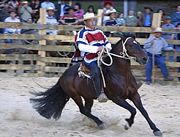 Rodeo is a national sport in rural Chile.