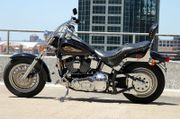 1998 Harley-Davidson FXSTC
