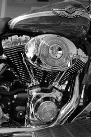 V-twin in a HD Road King
