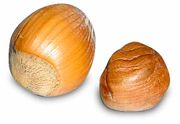 Hazelnuts, with shell (left), without shell (right)