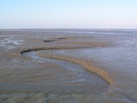 Mudflats in Germany