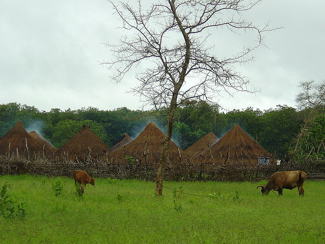 Image:Villaggio Guinea-Bissau.JPG