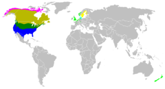 Canada Goose distribution, including native (dark tones) and introduced (light tones) populationsCanada Goose summer: yellowCanada Goose all year: greenCanada Goose winter: blueCackling Goose summer: pink