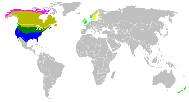 Image:Branta canadensis map.png
