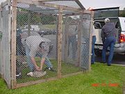 USDA Wildlife Services agents trap and gas geese in Seattle - 2002