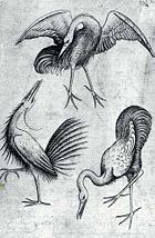 "The 3 of Birds" by the Master of the Playing Cards, 16th century Germany