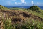 Guam's grassland.