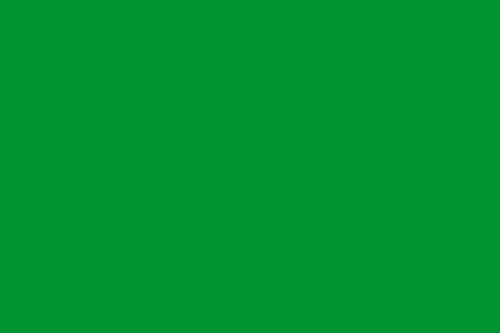 Image:Fatimid flag.svg