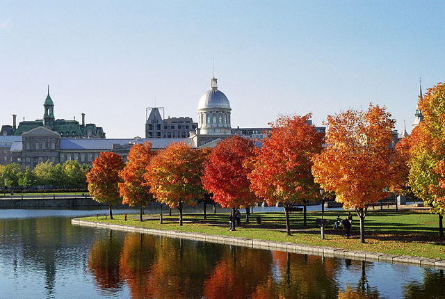 Image:Marché Bonsecours and Foliage.jpg