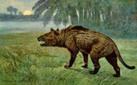 Hyaenodon.