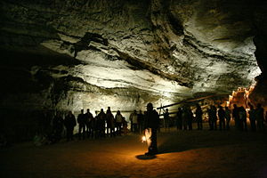 A ranger guided tour of the cave.