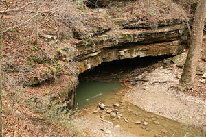 River Styx, one of the cave's semi-subterranean waterways, emerges onto the surface in the park.