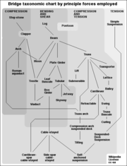 A bridge taxonomy showing evolutionary relationships