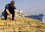 A sailor from HMAS Adelaide inspecting a ship in the Persian Gulf during 2004