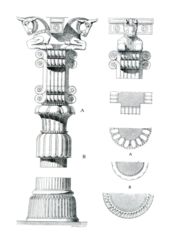 Plan, front view and side view of a typical column of Persepolis palace of Persia.