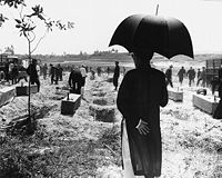 Burial of unidentified Hue civilian victims of communists in 1968