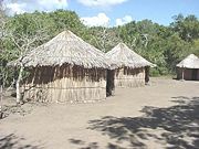 Taíno Village at the Tibes Ceremonial Center