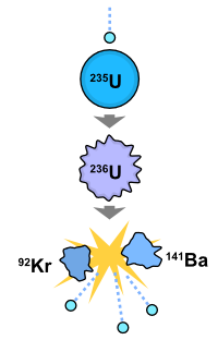 In nuclear fission, the nucleus of a fissile atom (in this case, enriched uranium) absorbs a thermal neutron, becomes unstable, and splits into two new atoms, releasing some energy and between one and three new neutrons, which can perpetuate the process.