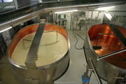 During industrial production of Emmental cheese, the as-yet-undrained curd is broken up by rotating mixers.