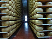 Parmigiano reggiano in a modern factory