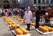 The famous Golden Wheels of Gouda at a cheese market