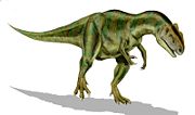 Life restoration of Allosaurus fragilis.