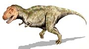Tyrannosaurus rex, one of the largest land predators of all time lived during the late Cretaceous.