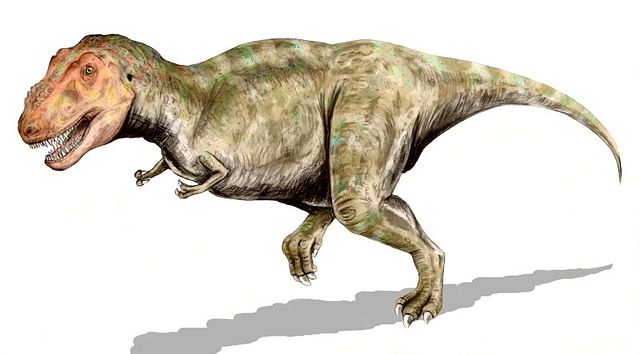 Image:Tyrannosaurus BW.jpg