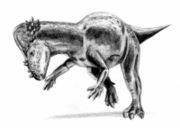 A Pachycephalosaurus displaying its prominent skull roof.