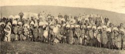 Zulu warriors, late 19th century