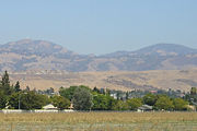 Mount Hamilton, in the Diablo Range, showing summer's golden mantle. Dark green areas in hills are primarily scrub oak and other low-growing shrubs. The white domes on top are UCSC's Lick Observatory