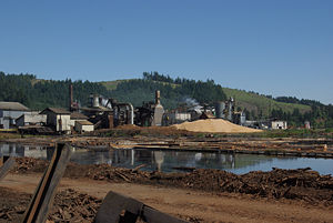 Sawmills create and burn sawdust: it can be pelletized and used at home