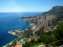 The territory of the Principality of Monaco