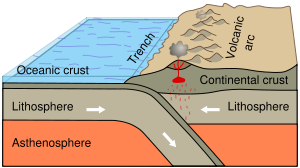 Oceanic-continental convergence resulting in subduction and volcanic arcs illustrates one effect of plate tectonics.