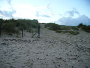 An example of fencing at Studland