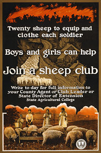 A World War I era poster sponsored by the United States Department of Agriculture encouraging children to raise sheep to provide needed war supplies.