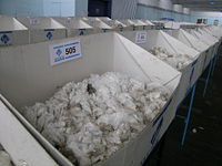 Merino wool samples for sale by auction, Newcastle, NSW