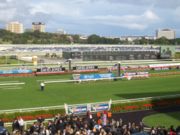 Randwick Racecourse hosts many of Sydney's horseracing events