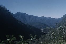 Densely forested mountains in the Ekuti range of Central Papua