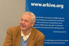 David Attenborough at ARKive's launch, May 2003
