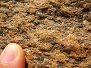 Close-up of granite (an intrusive igneous rock) exposed in Chennai, India.