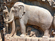 Life-size elephant and other creatures carved in granite; Mahabalipuram, India.