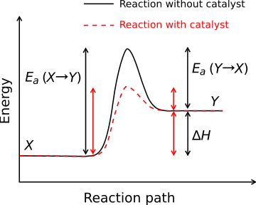 The relationship between activation energy (Ea) and enthalpy of formation (ΔH) with and without a catalyst. The highest energy position (peak position) represents the transition state. With the catalyst, the energy required to enter transition state decreases, thereby decreasing the energy required to initiate the reaction.