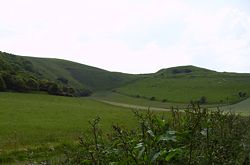 White Horse Hill and Dragon Hill (right)